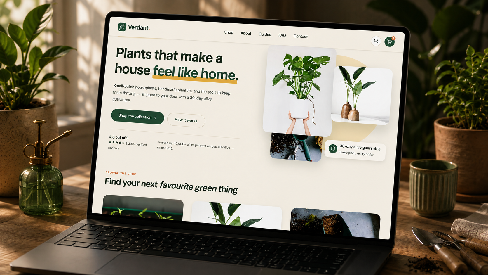 Preview of the Verdant plant shop website — a shelf of houseplants